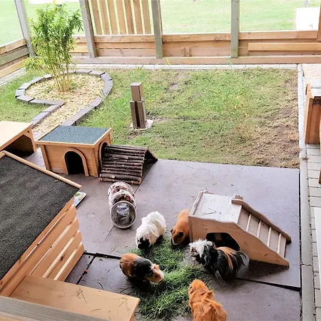 Kleines Haus * 페마른